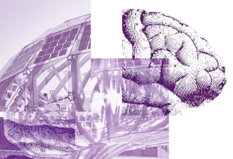 Teaser Image, AVL Brain Collage